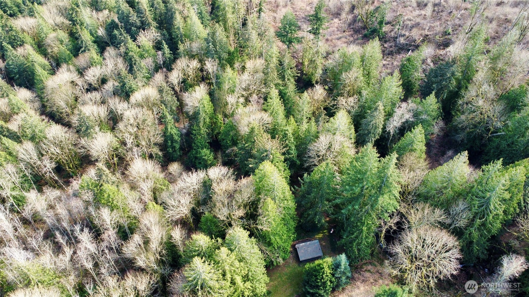 5960 Bell Creek Logging Road Property Photo 18