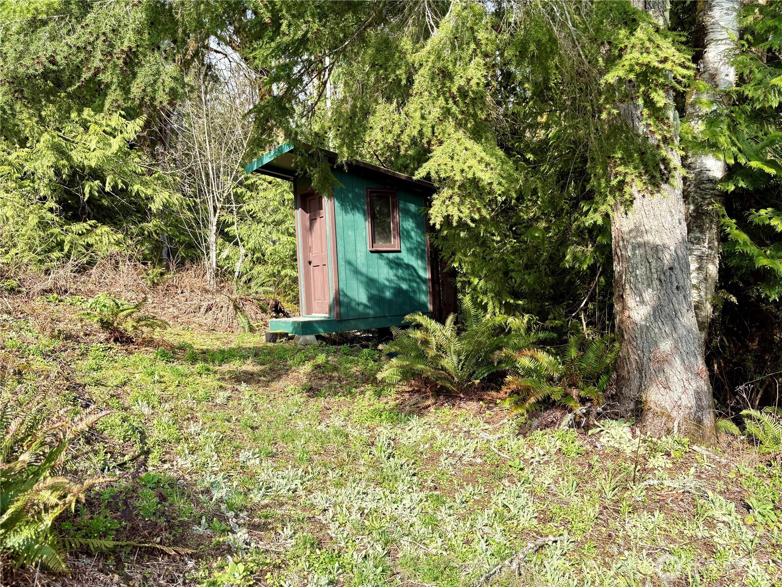 5960 Bell Creek Logging Road Property Photo 28