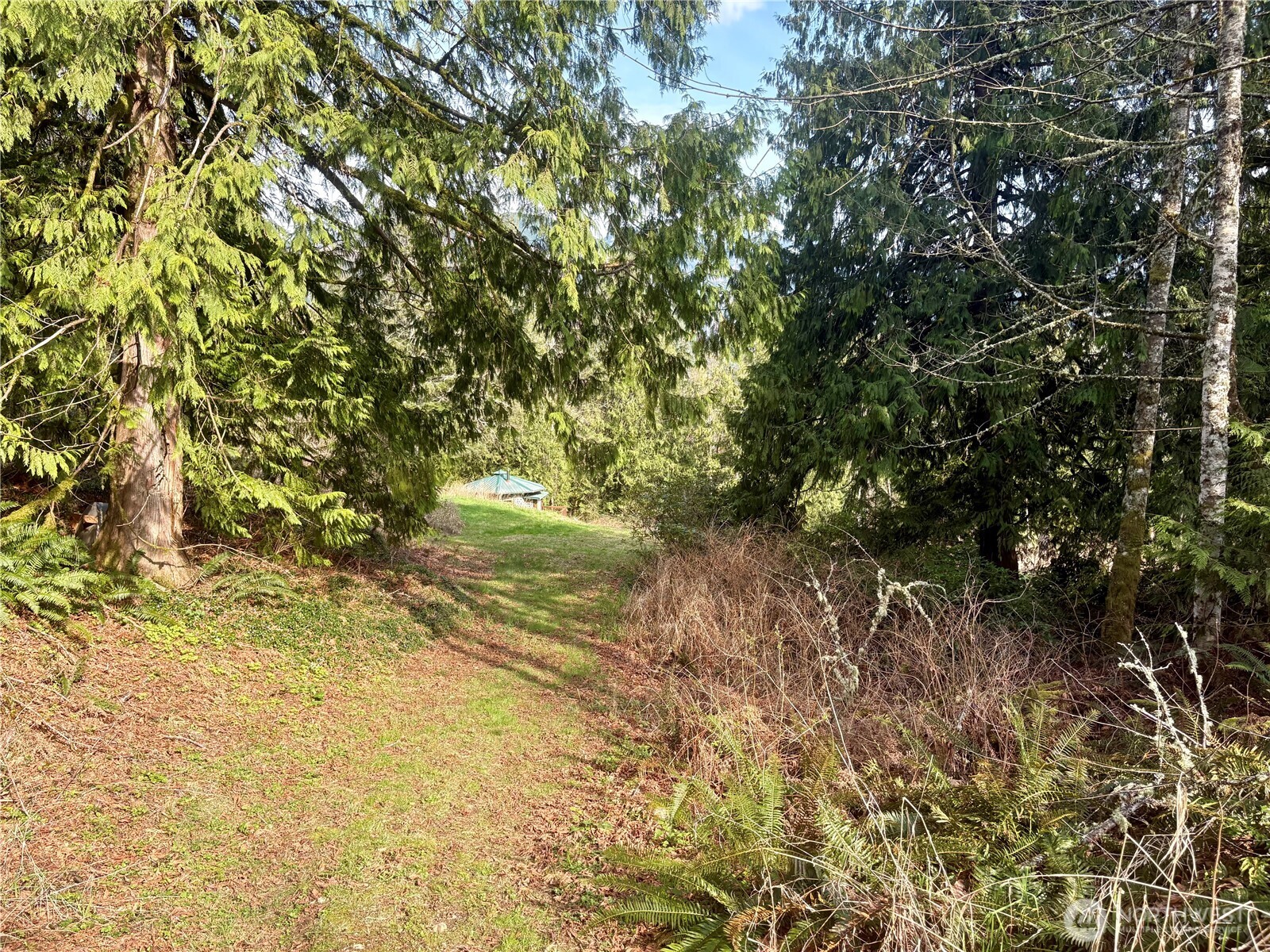 5960 Bell Creek Logging Road Property Photo 30