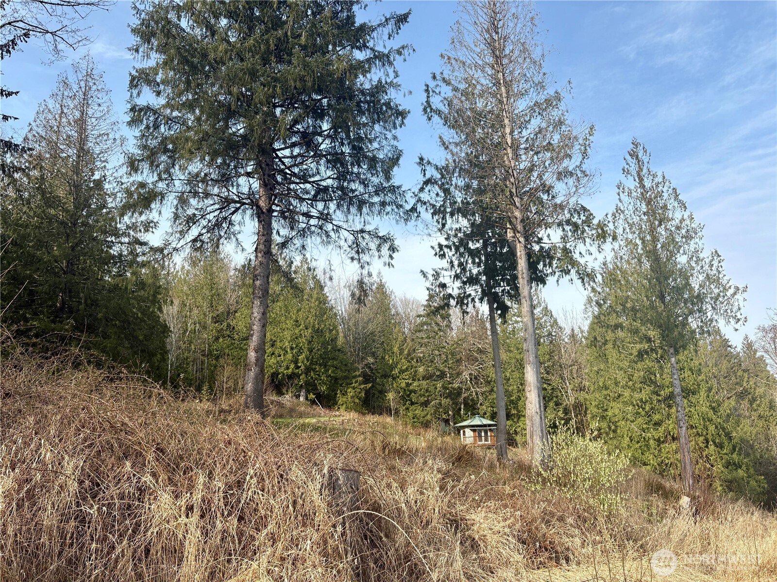 5960 Bell Creek Logging Road Property Photo 31