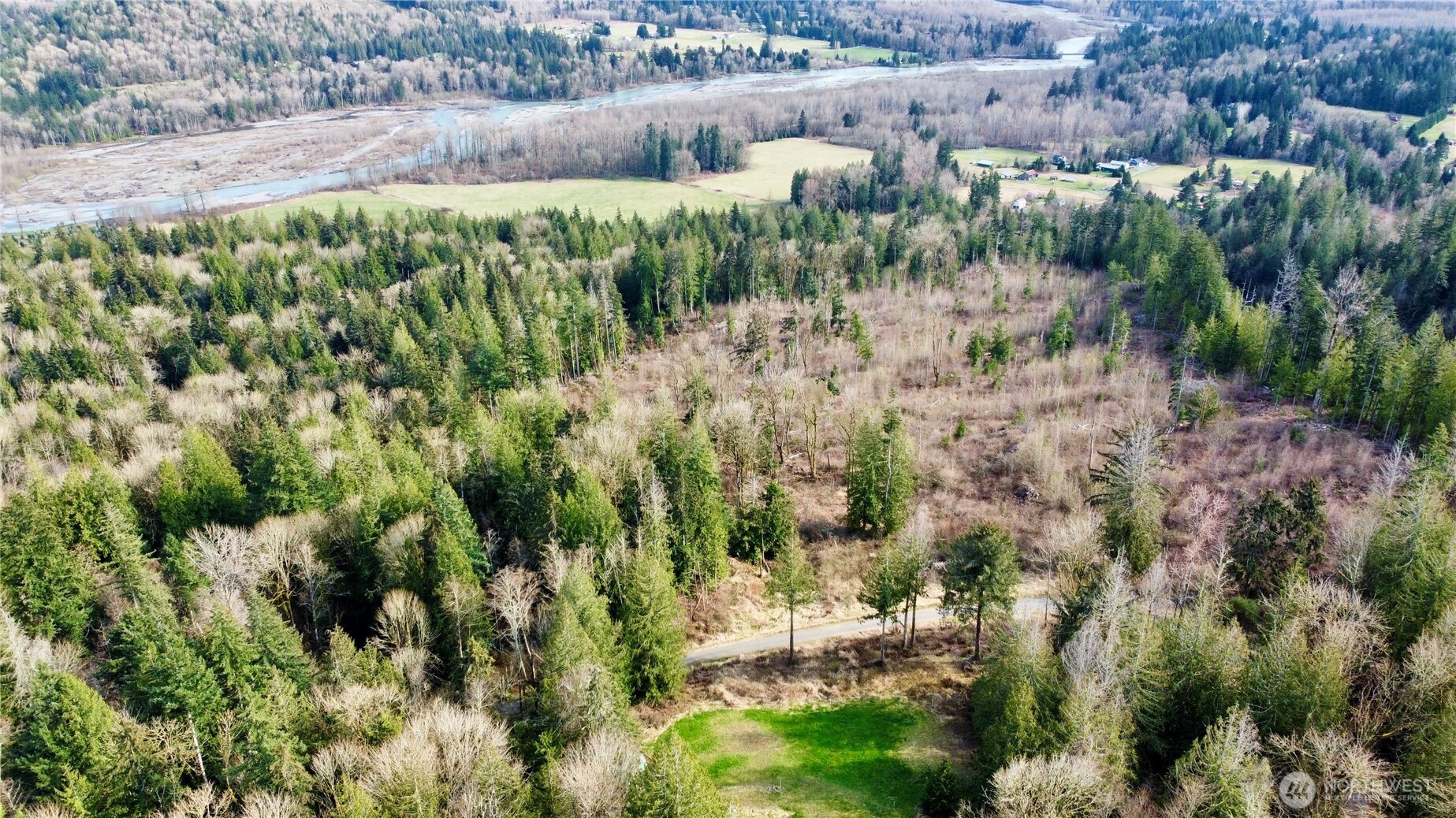 5960 Bell Creek Logging Road Property Photo 35