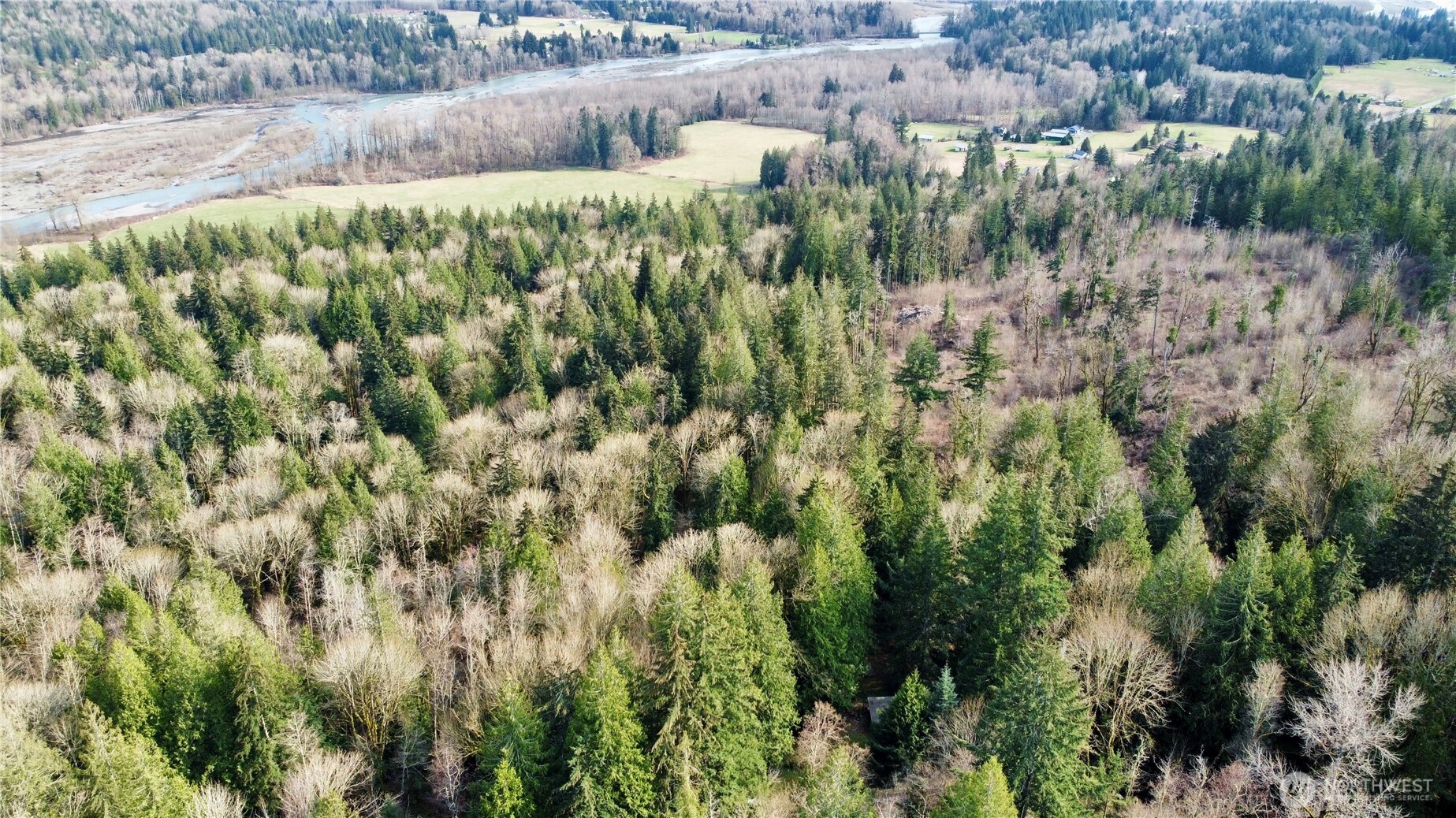 5960 Bell Creek Logging Road Property Photo 37