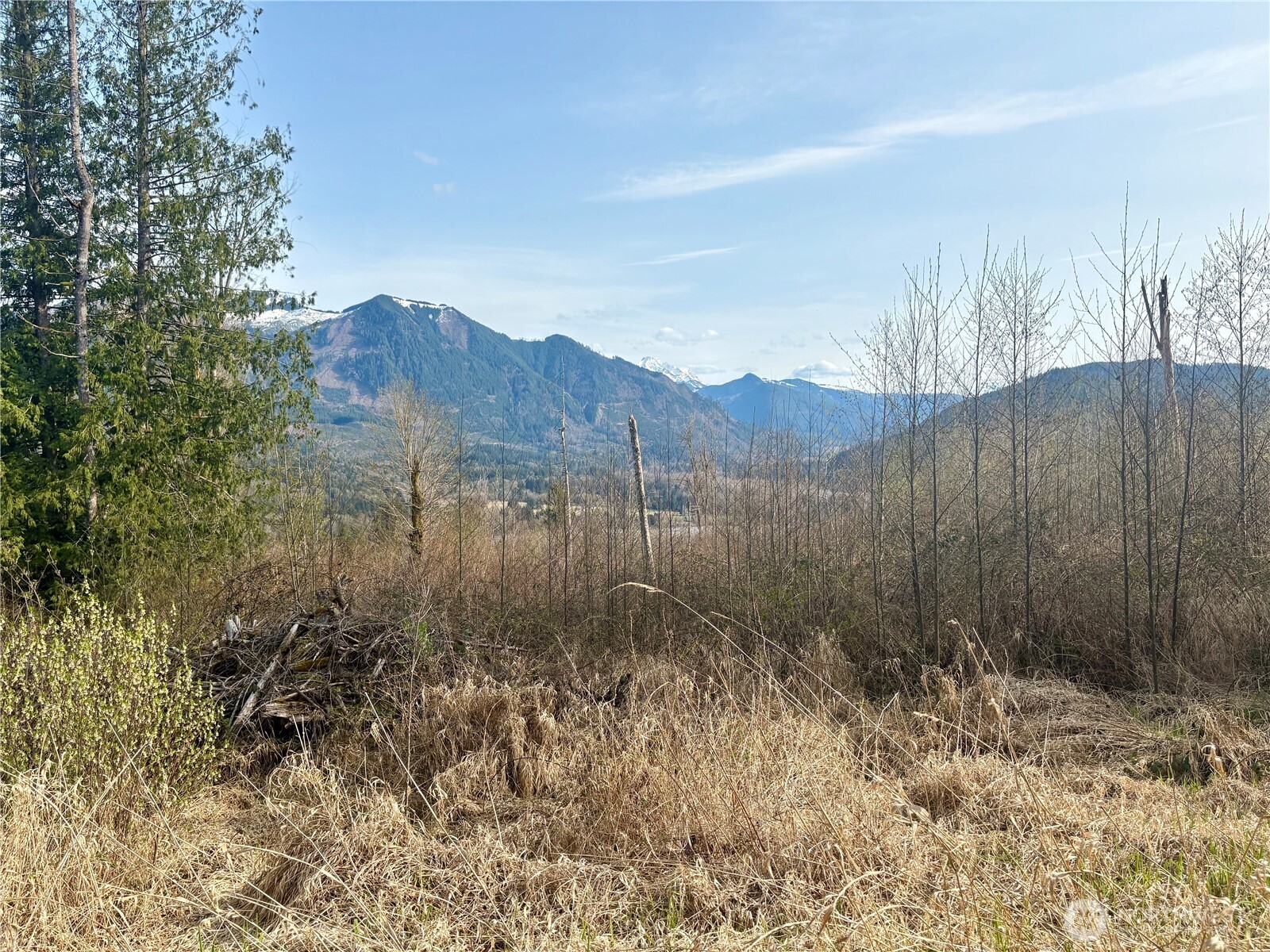 5960 Bell Creek Logging Road Property Photo 38
