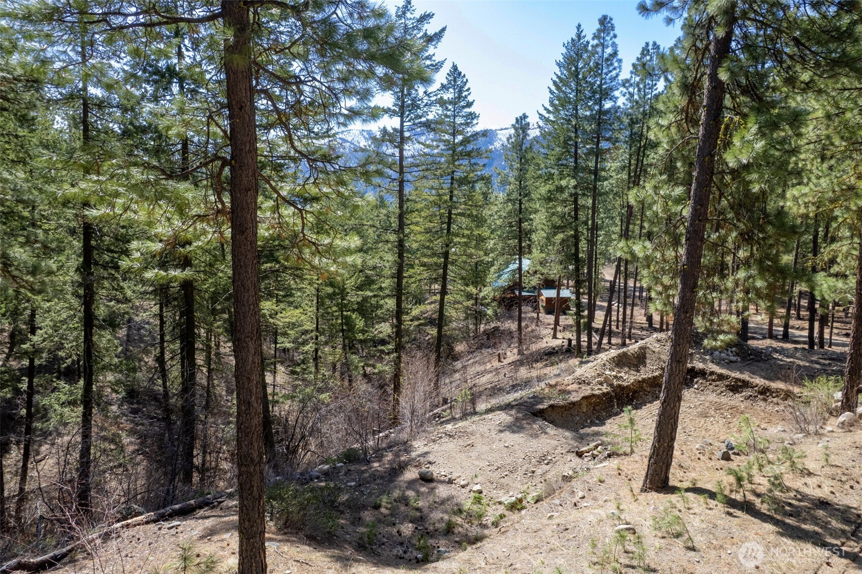 94 Homestead Road Property Photo 3