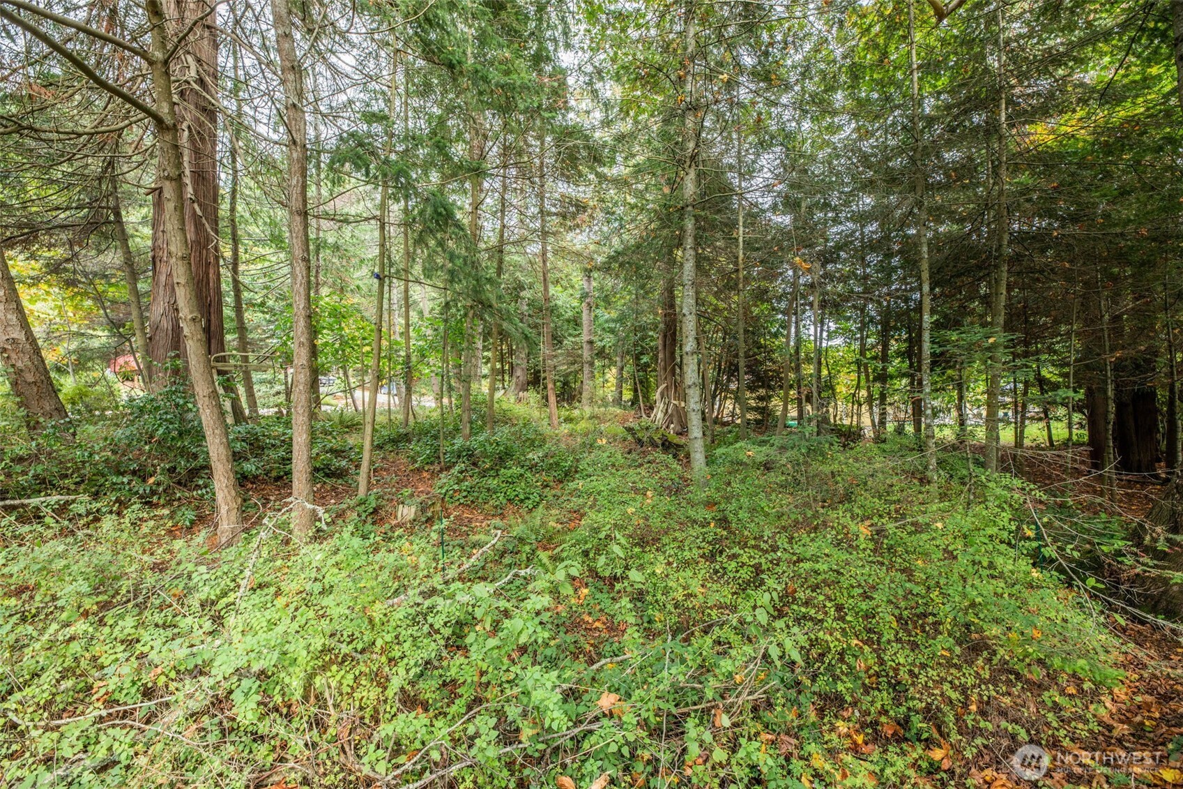 555 Klamath Drive Property Photo 10