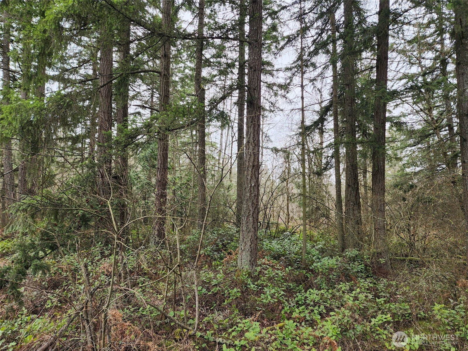 0 126th Avenue Property Photo 5
