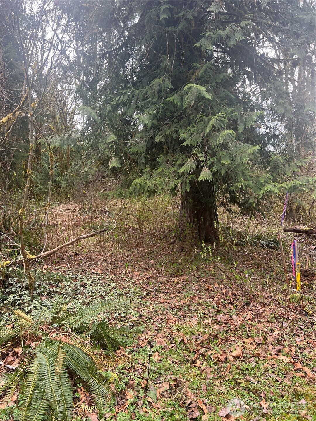 16006 Shuksan Rim Drive Property Photo 1
