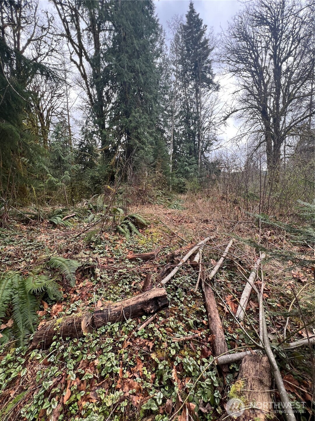 16006 Shuksan Rim Drive Property Photo 2