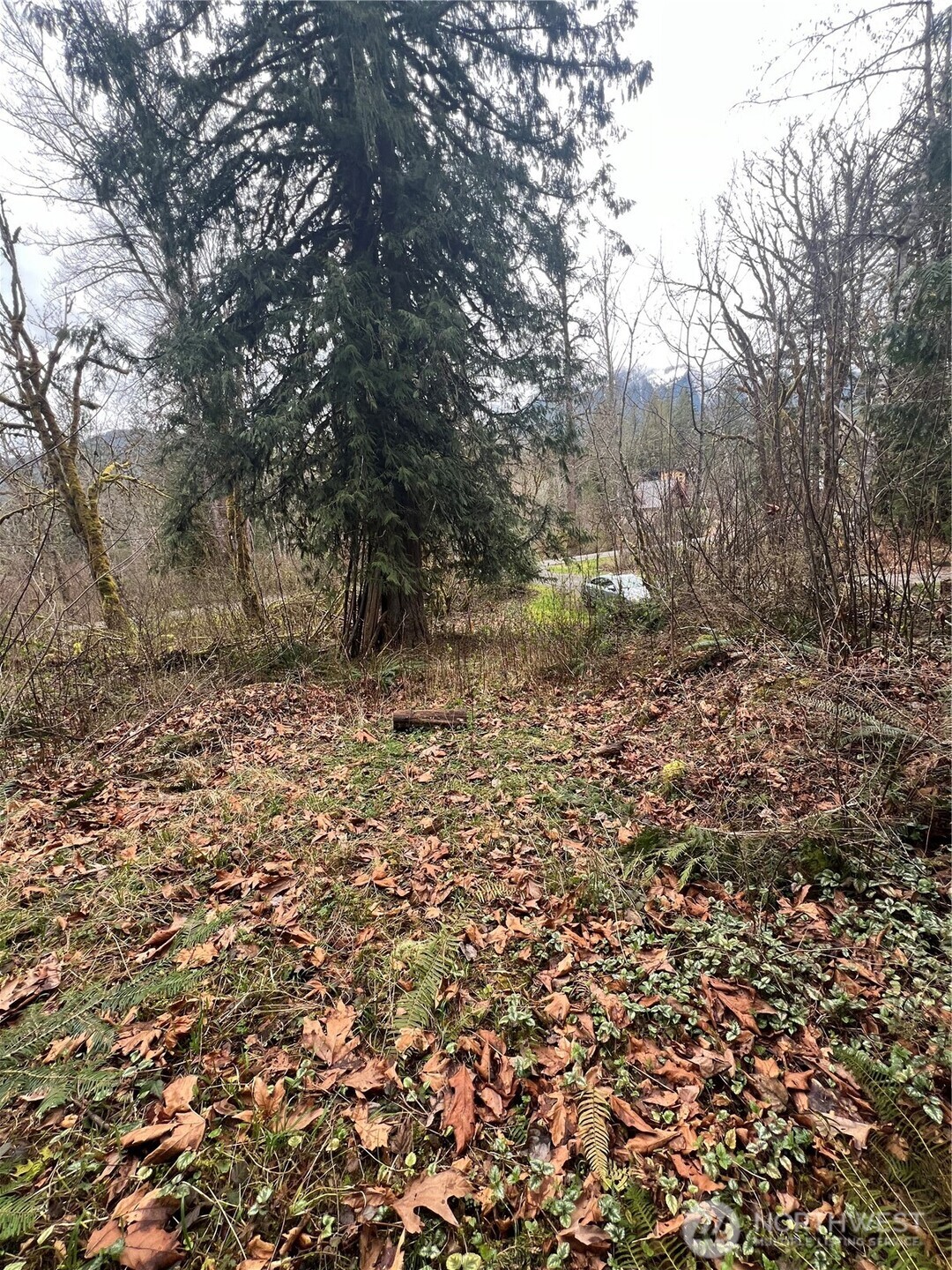 16006 Shuksan Rim Drive Property Photo 3