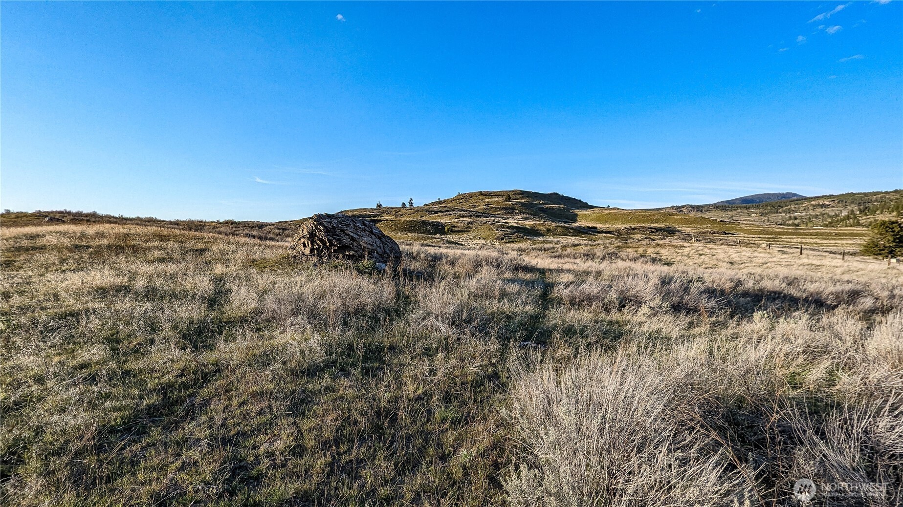 174 Round Up Road Property Photo 5