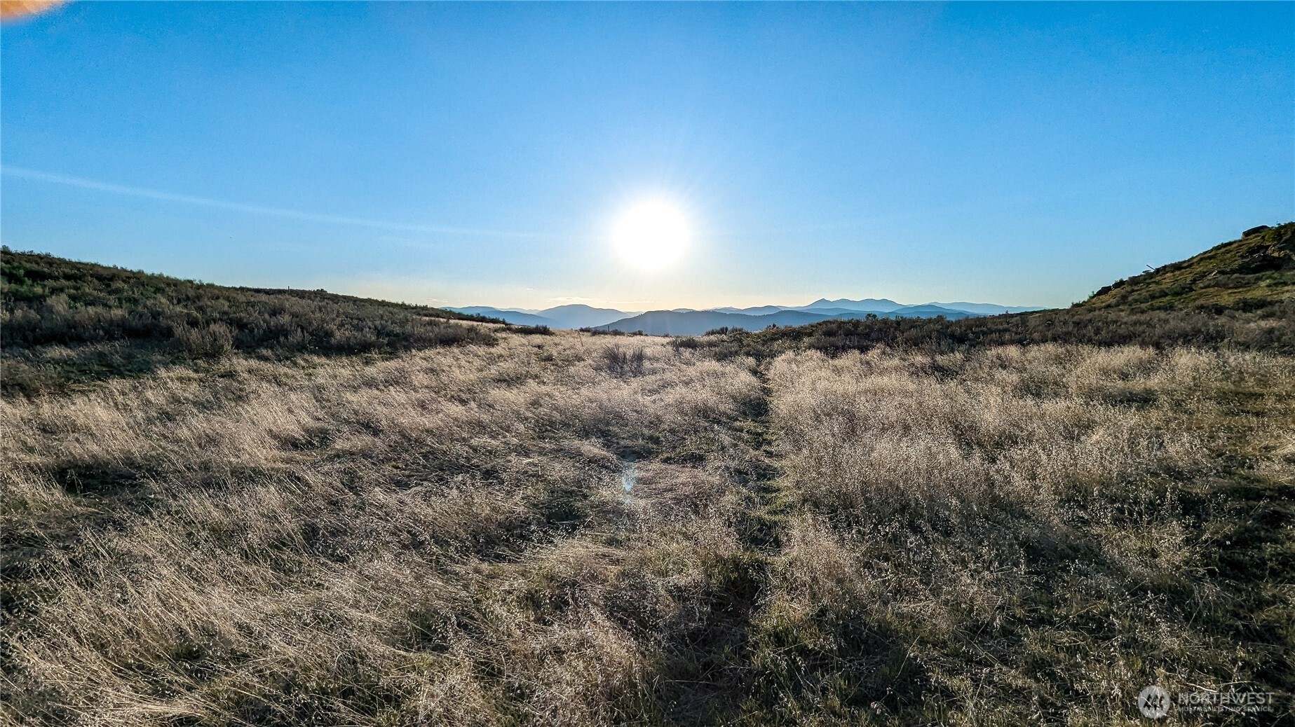 174 Round Up Road Property Photo 8