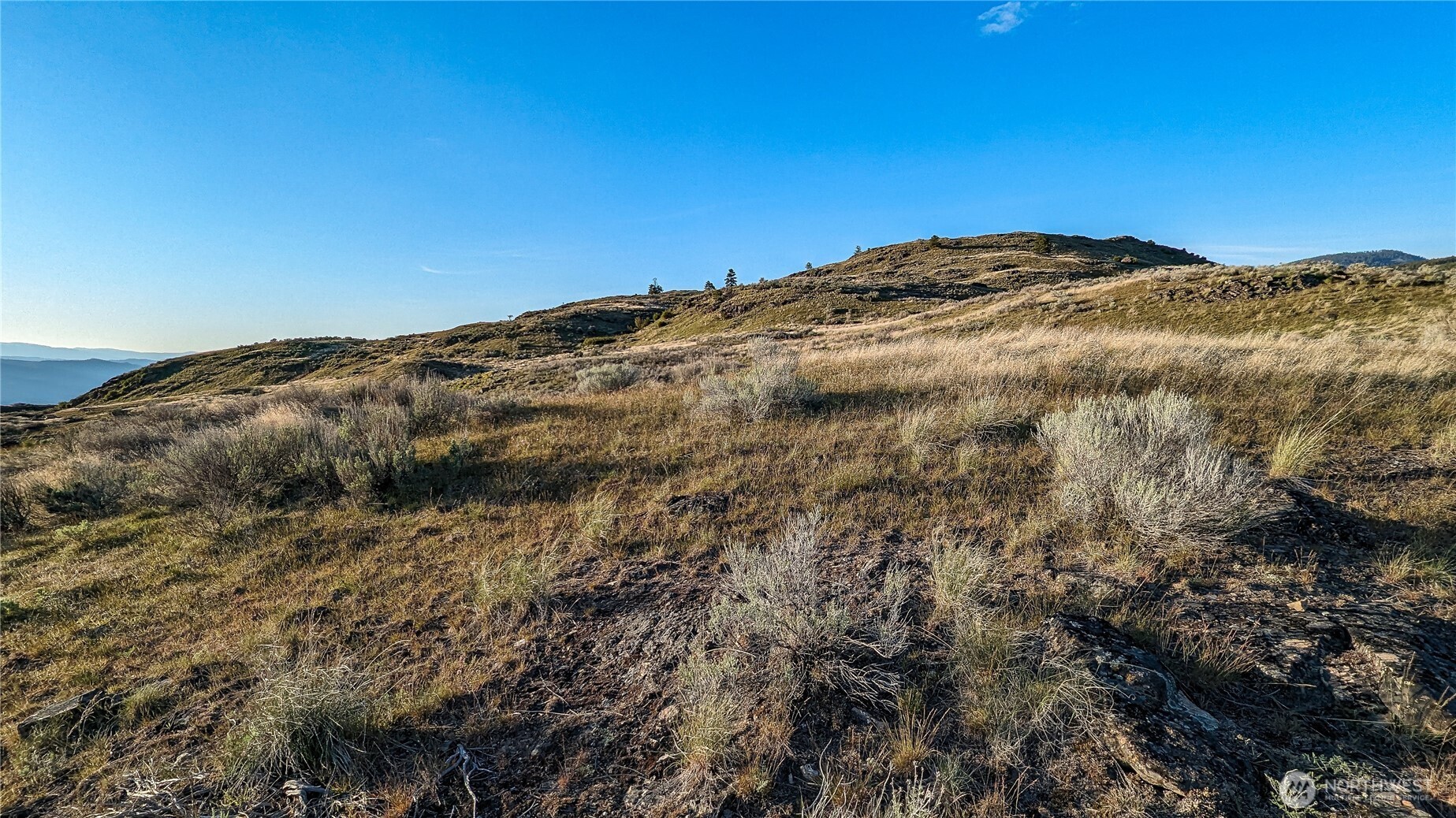 174 Round Up Road Property Photo 11