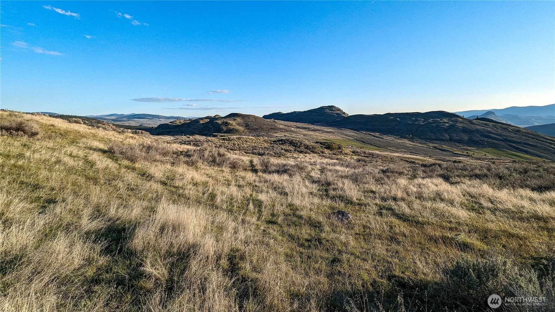 174 Round Up Road Property Photo 12