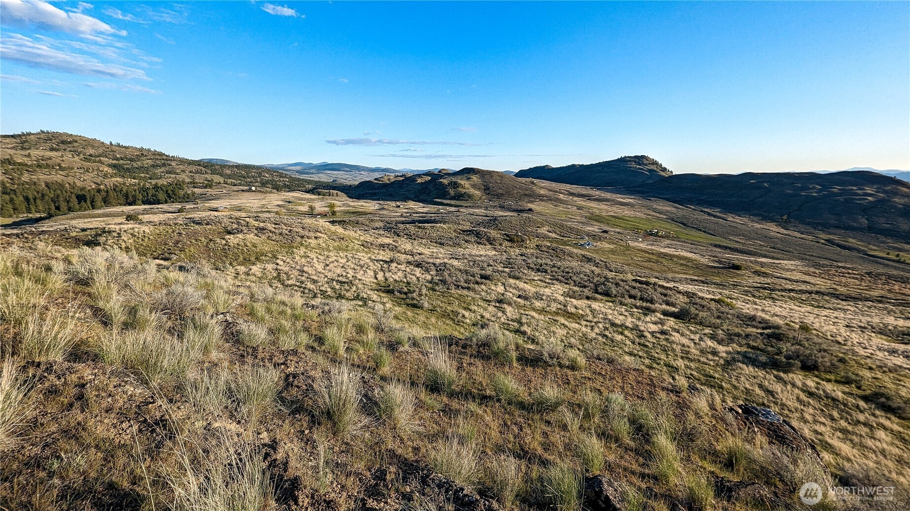 174 Round Up Road Property Photo 14