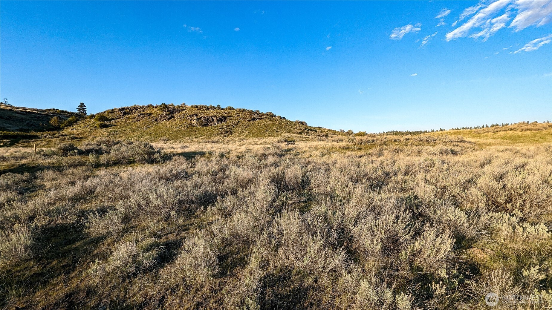 174 Round Up Road Property Photo 19