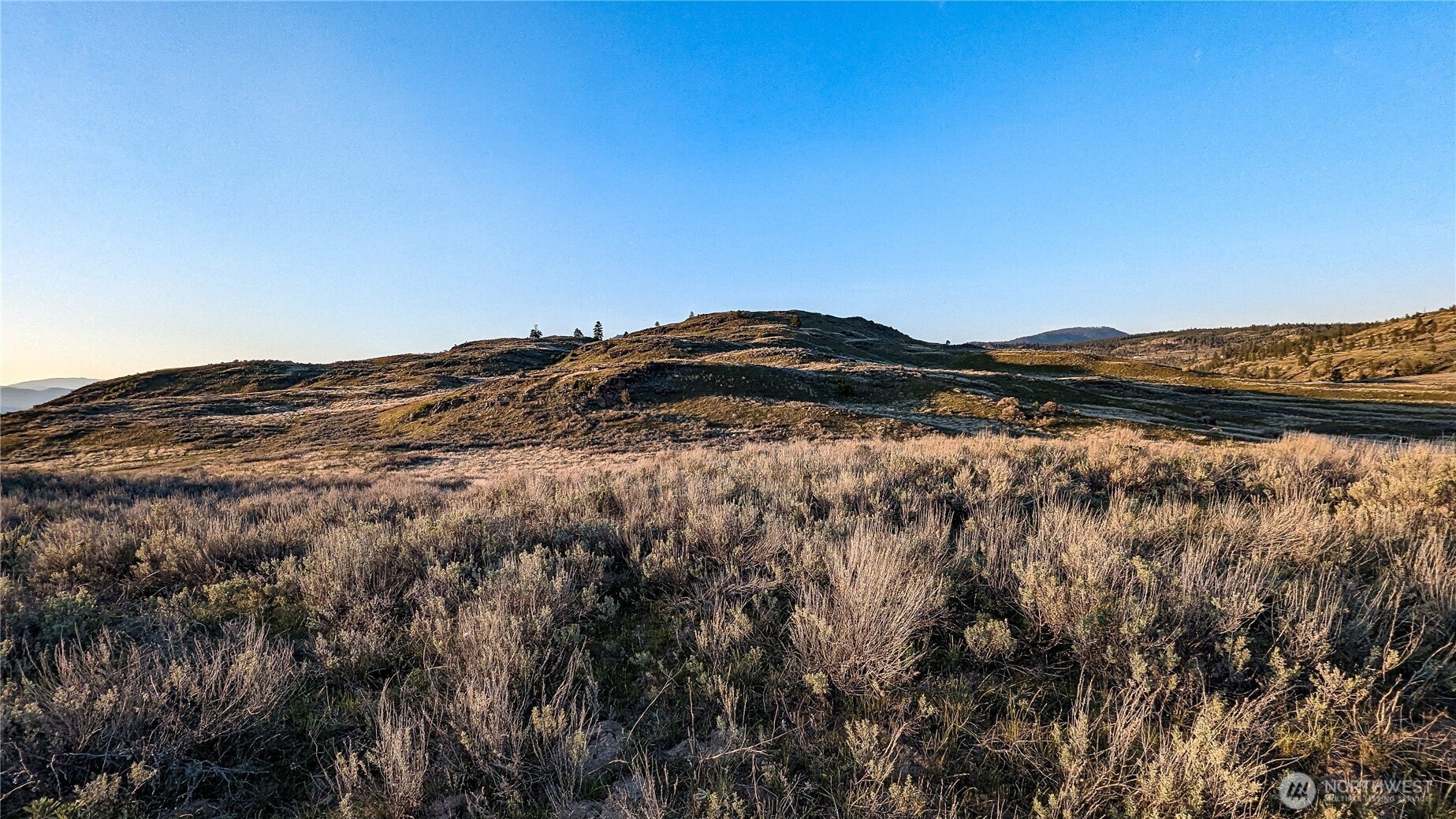 174 Round Up Road Property Photo 24