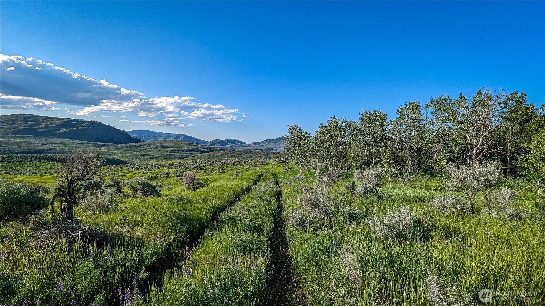 837 C Ellemeham Mountain Road Property Photo 2