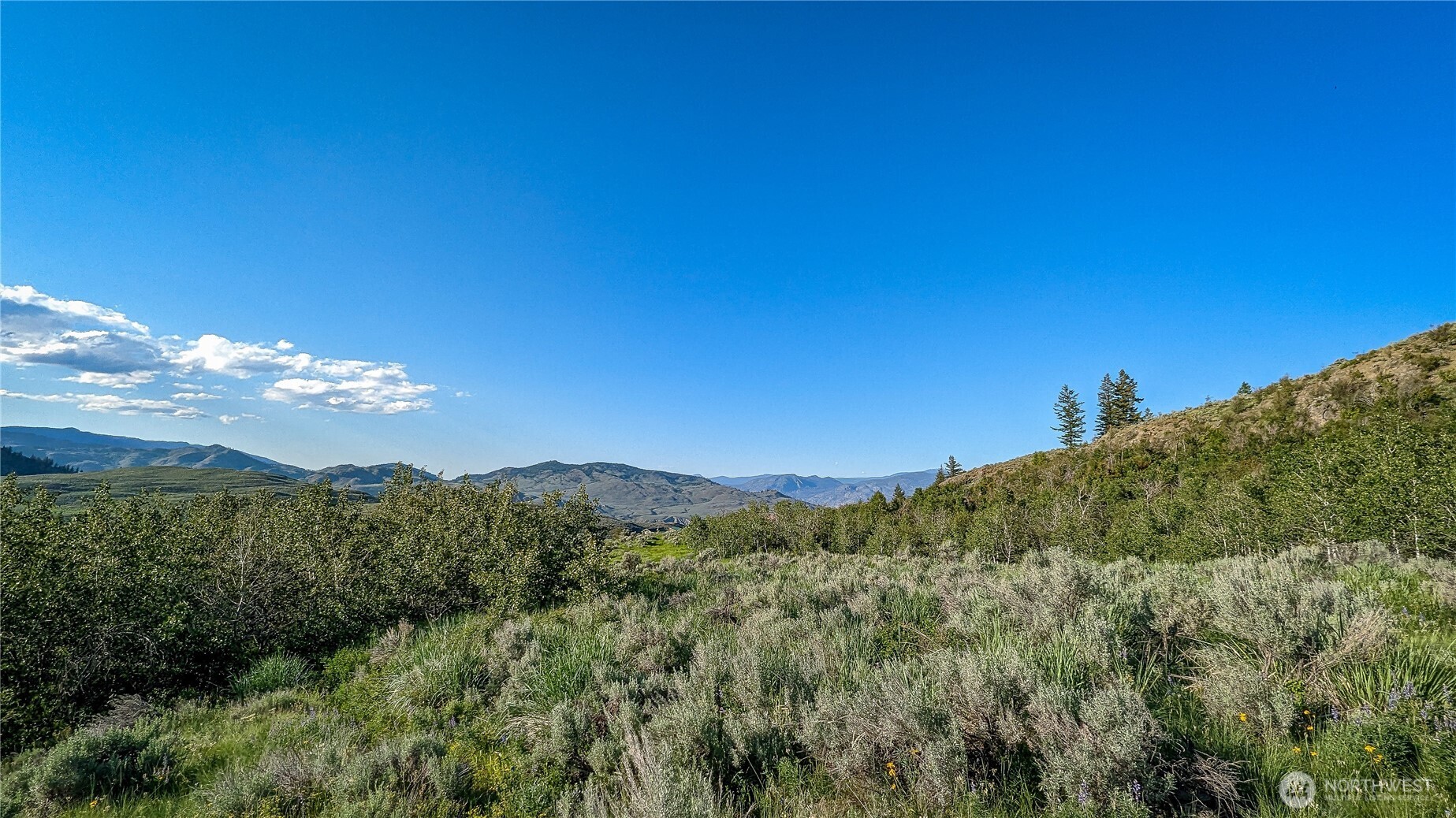 837 C Ellemeham Mountain Road Property Photo 3