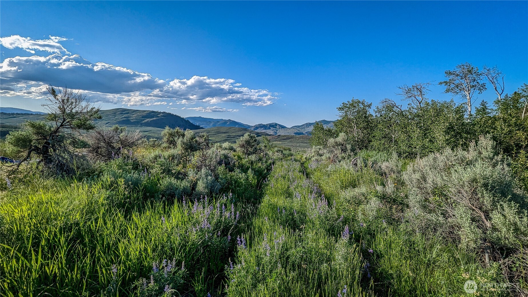 837 C Ellemeham Mountain Road Property Photo 4