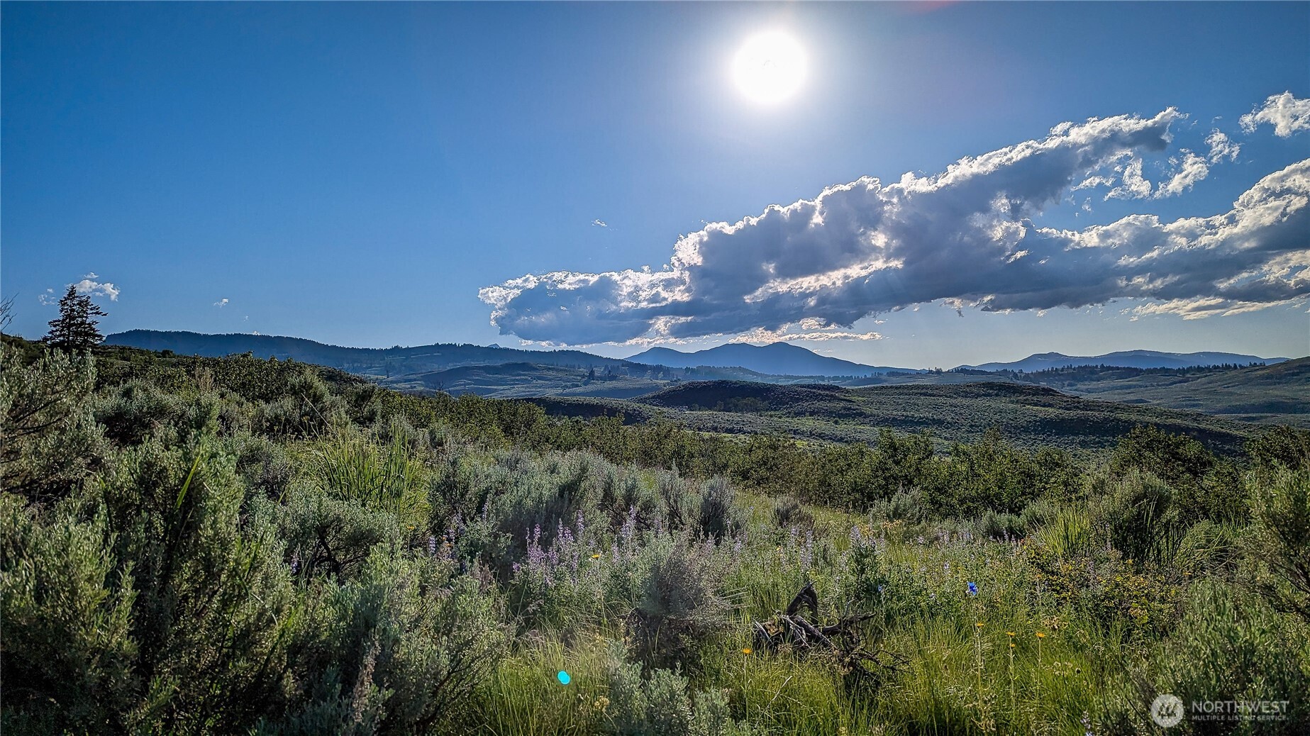 837 C Ellemeham Mountain Road Property Photo 7