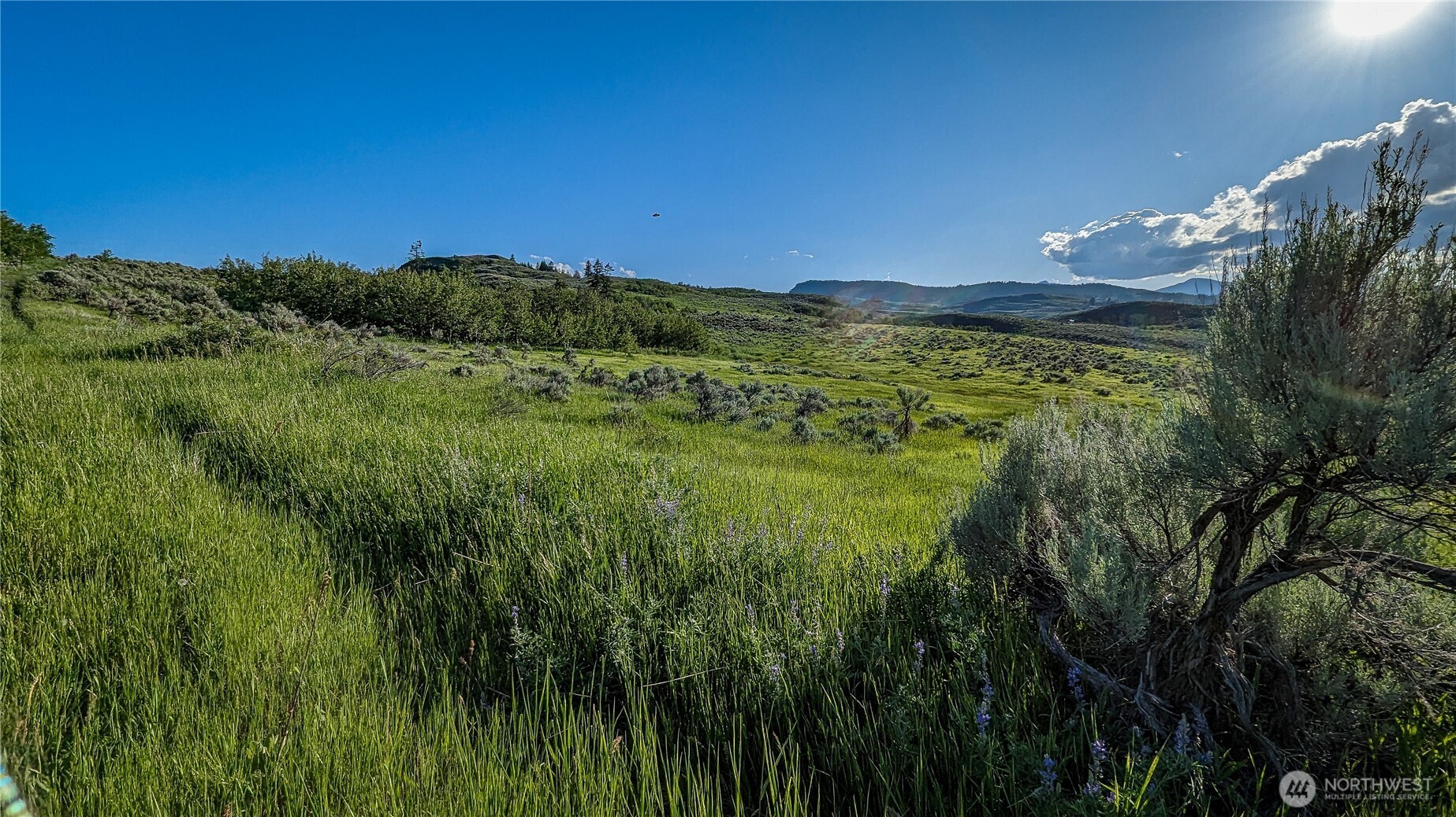 837 C Ellemeham Mountain Road Property Photo 10