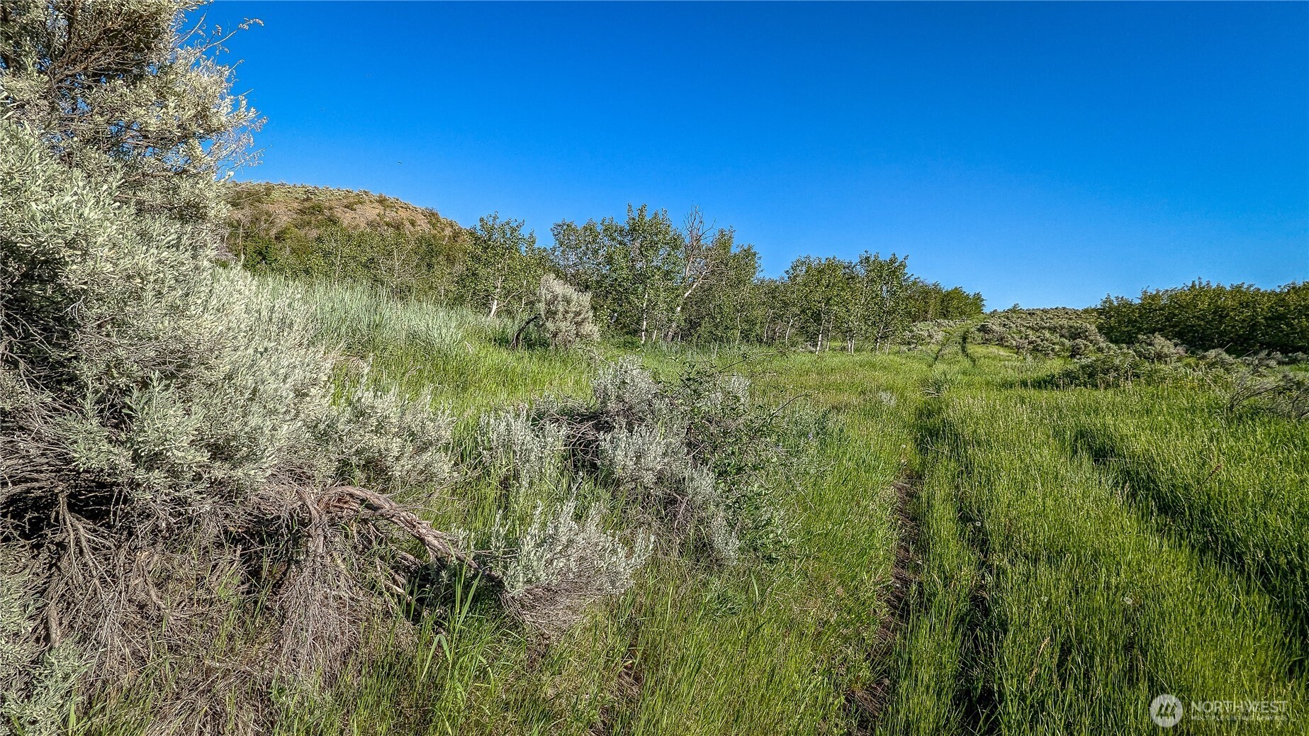 837 C Ellemeham Mountain Road Property Photo 11