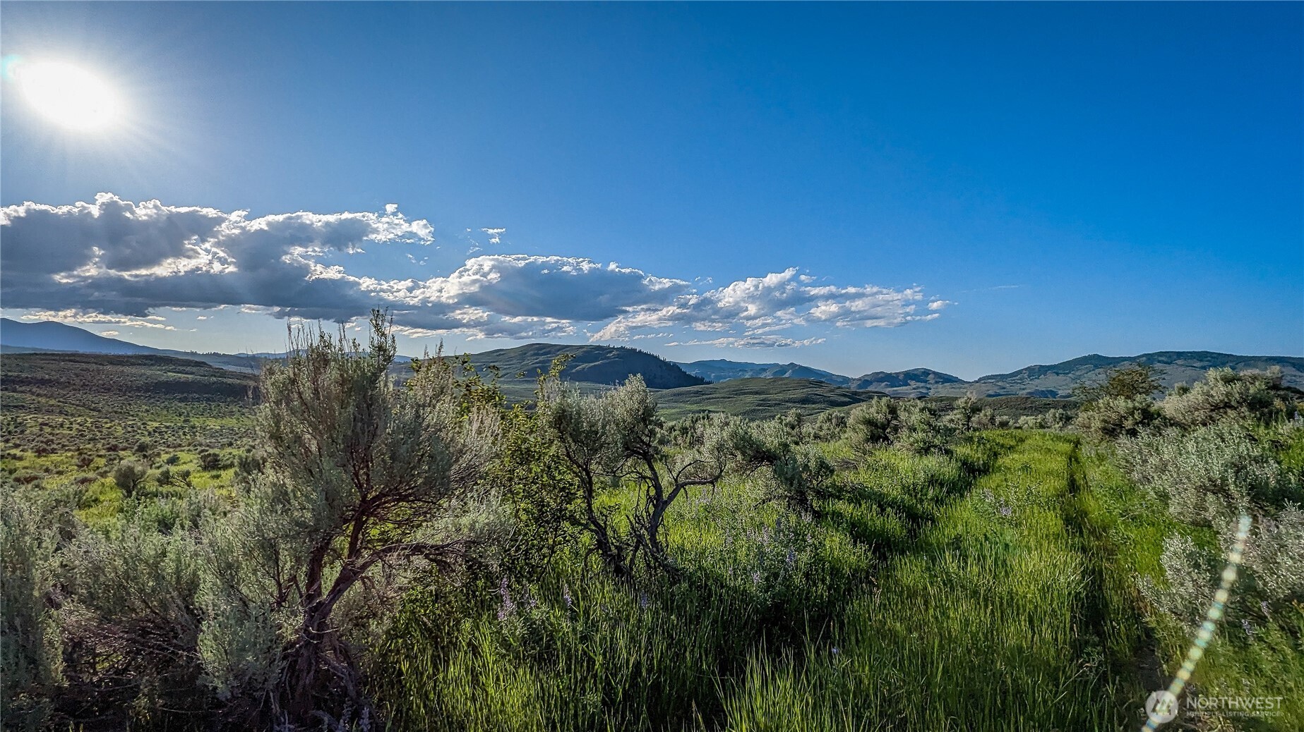 837 C Ellemeham Mountain Road Property Photo 12