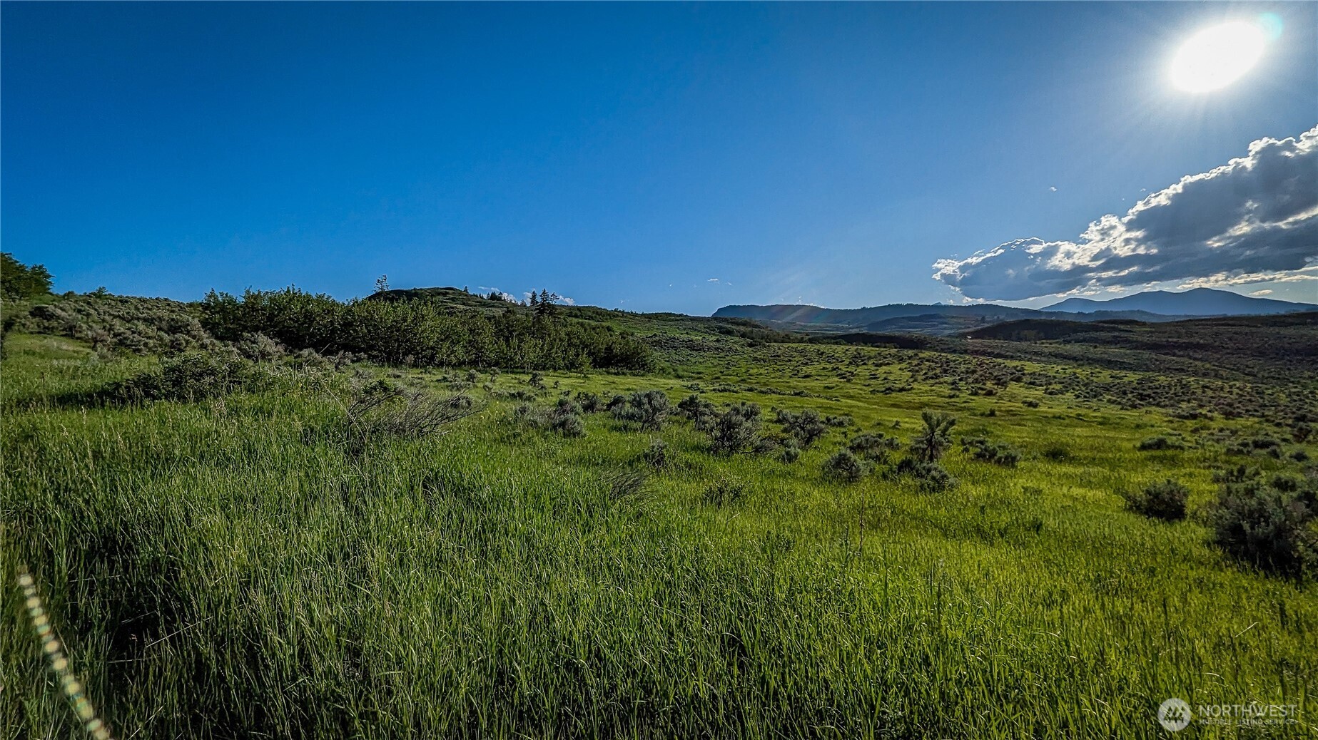 837 C Ellemeham Mountain Road Property Photo 15
