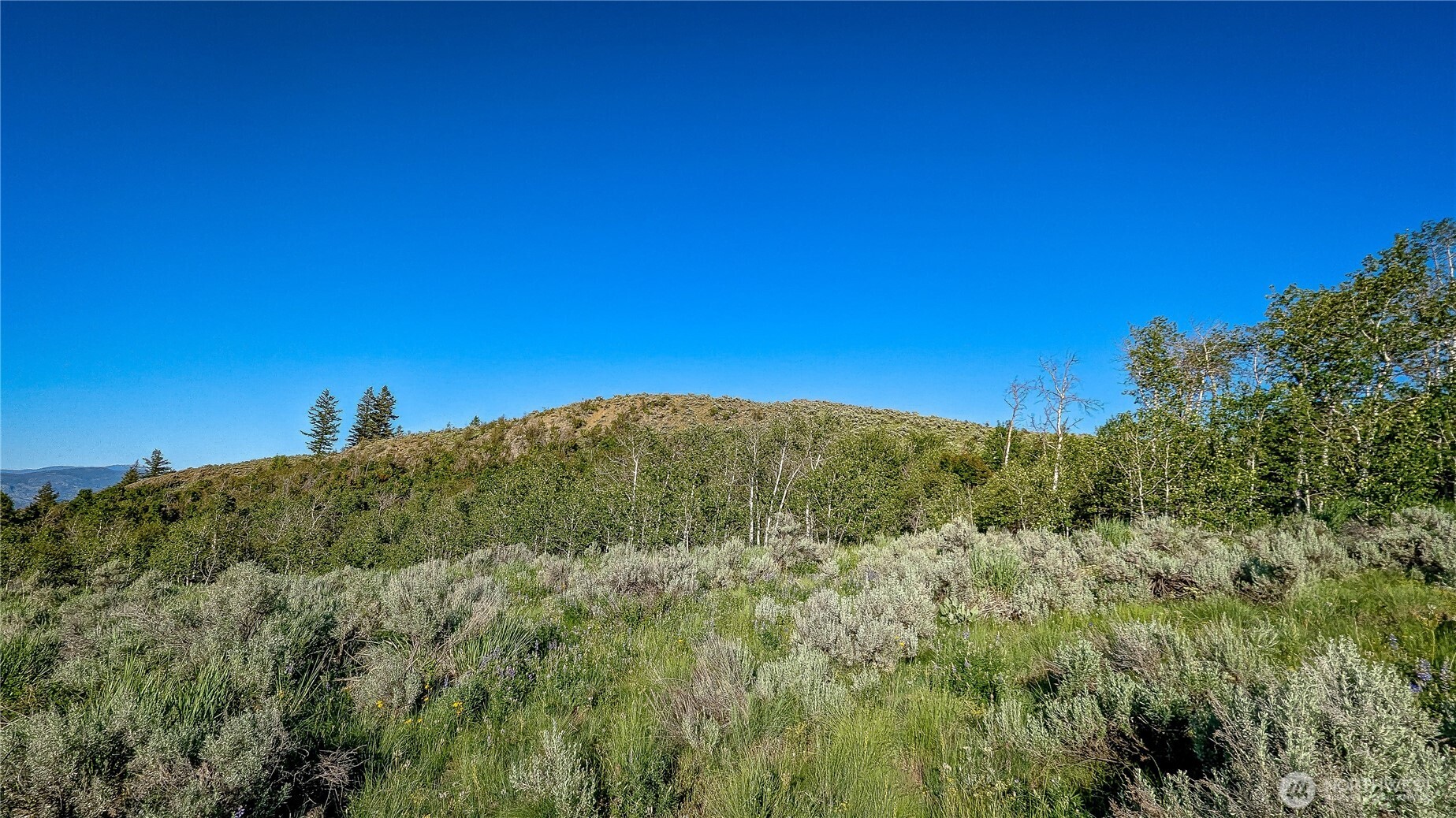 837 C Ellemeham Mountain Road Property Photo 18