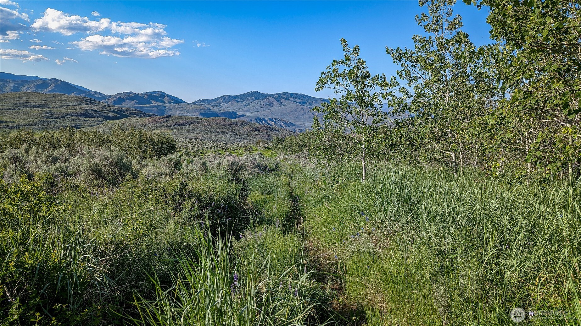 837 C Ellemeham Mountain Road Property Photo 19