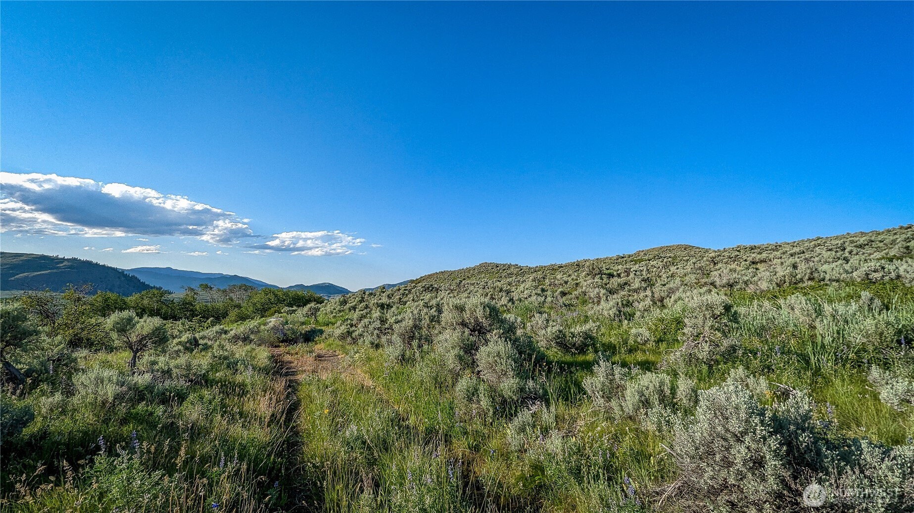 837 C Ellemeham Mountain Road Property Photo 27