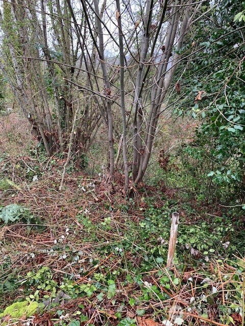 1287 X 33rd Place Property Photo 3