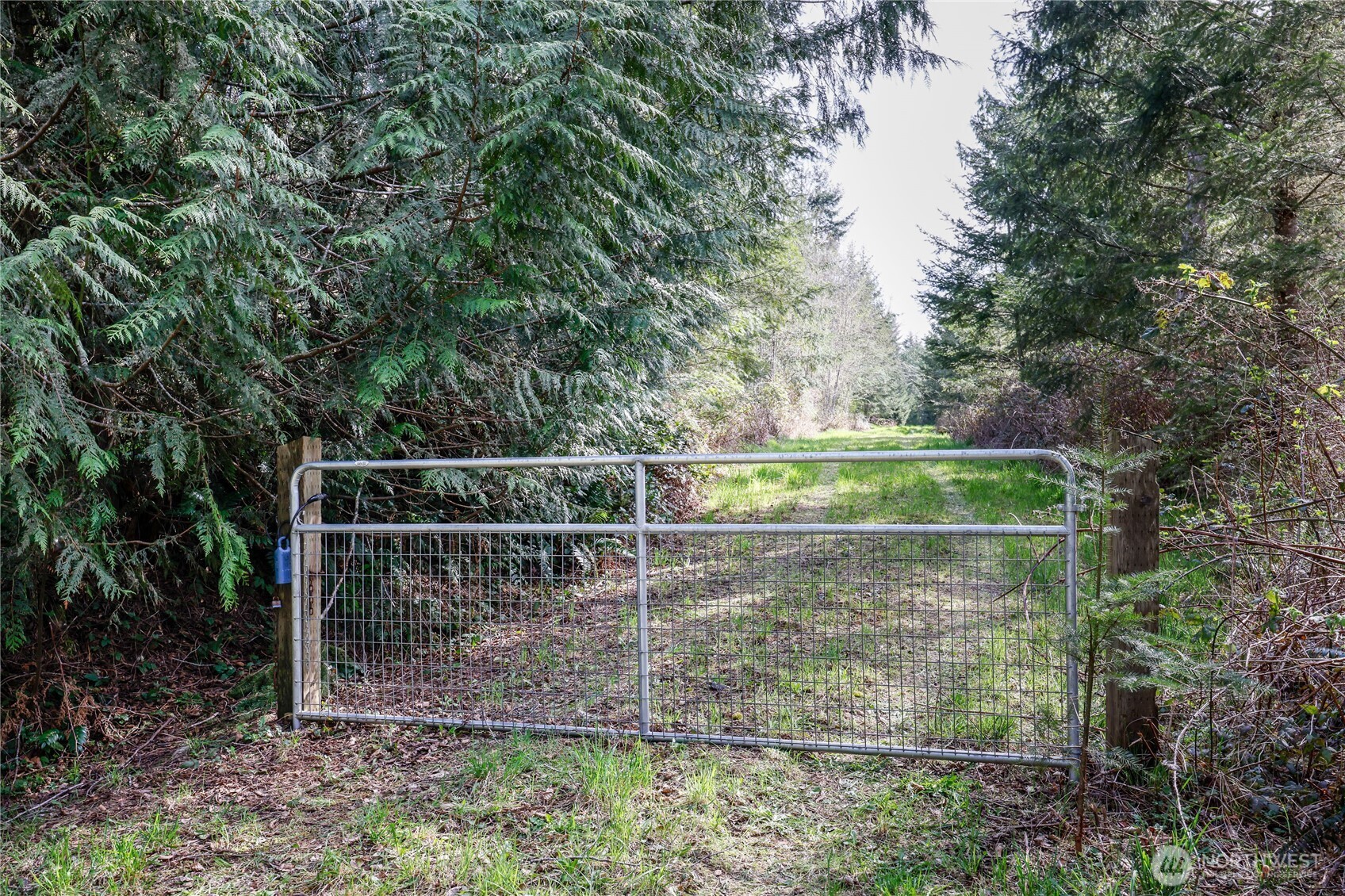 0 Egg & I Road Property Photo 6