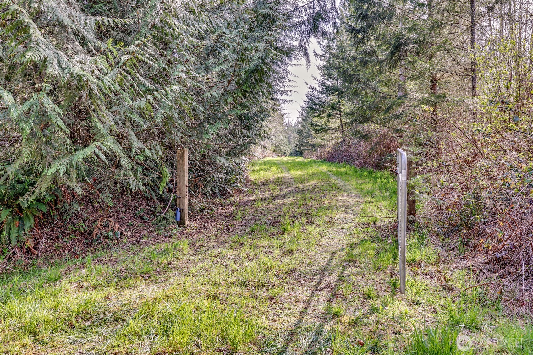0 Egg & I Road Property Photo 7
