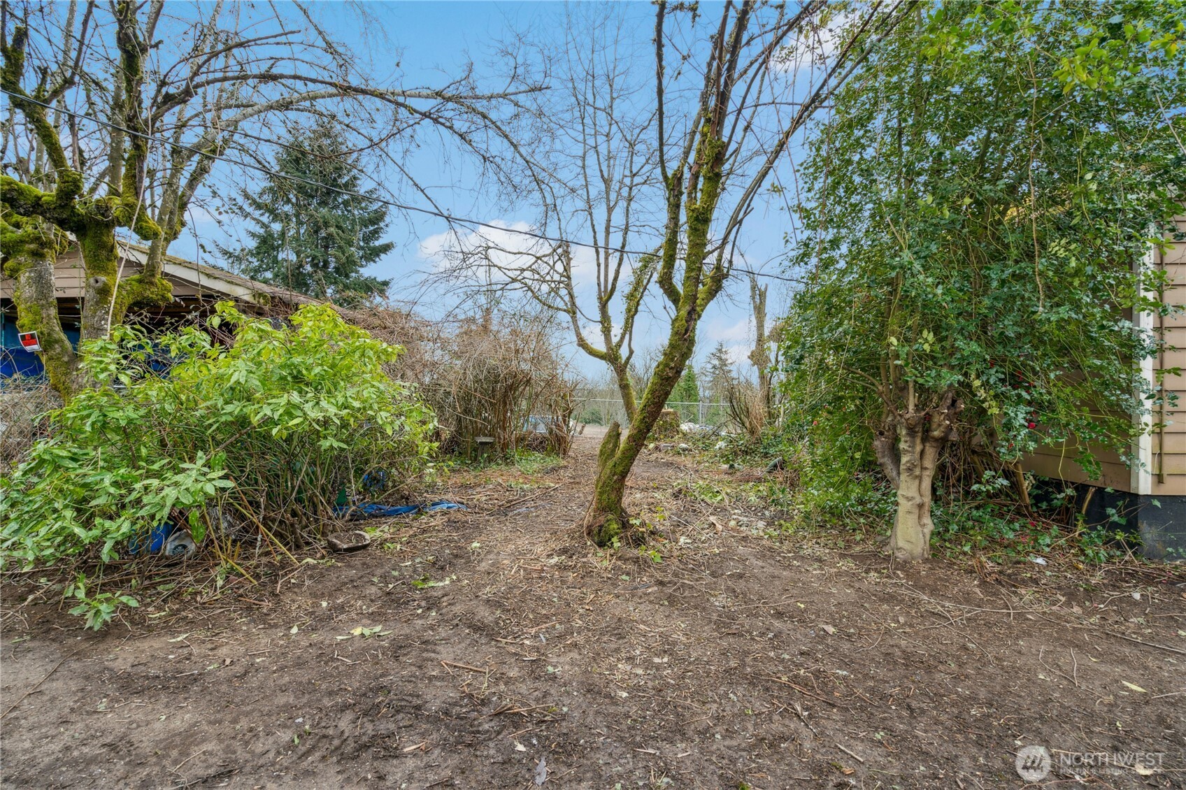 1409 N 24th Street Property Photo 5