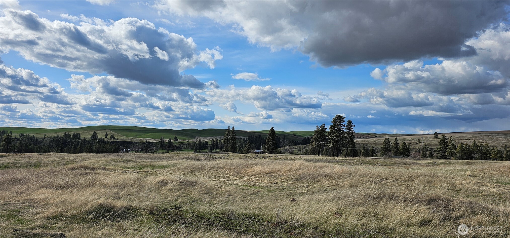 Whitman County Real Estate Listings Main Image