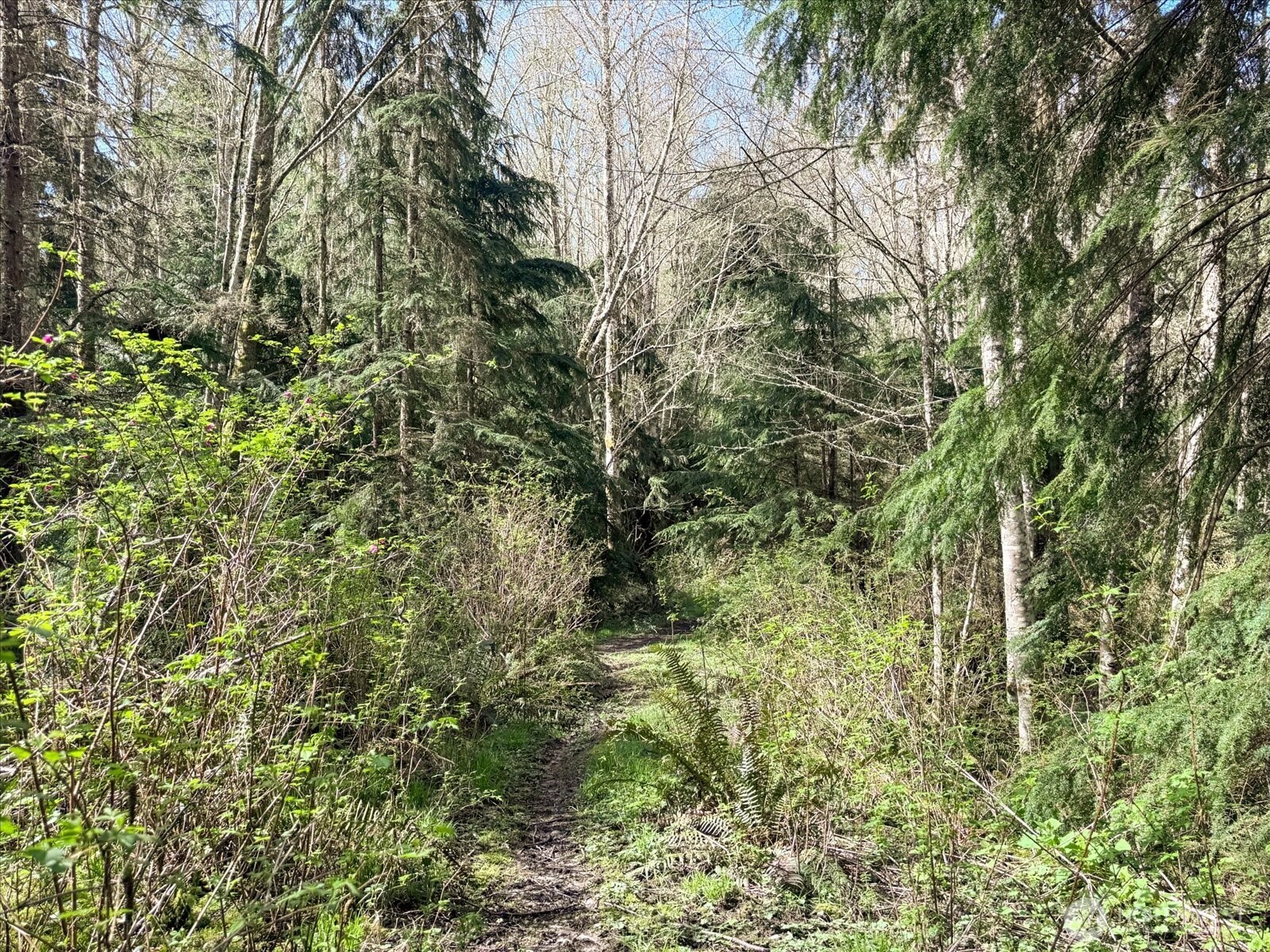 0 Forest View Lane Property Photo 2