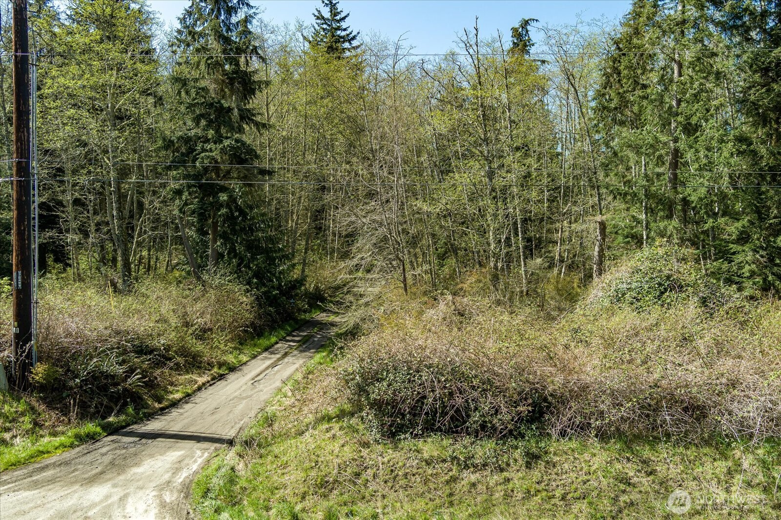 0 Forest View Lane Property Photo 8
