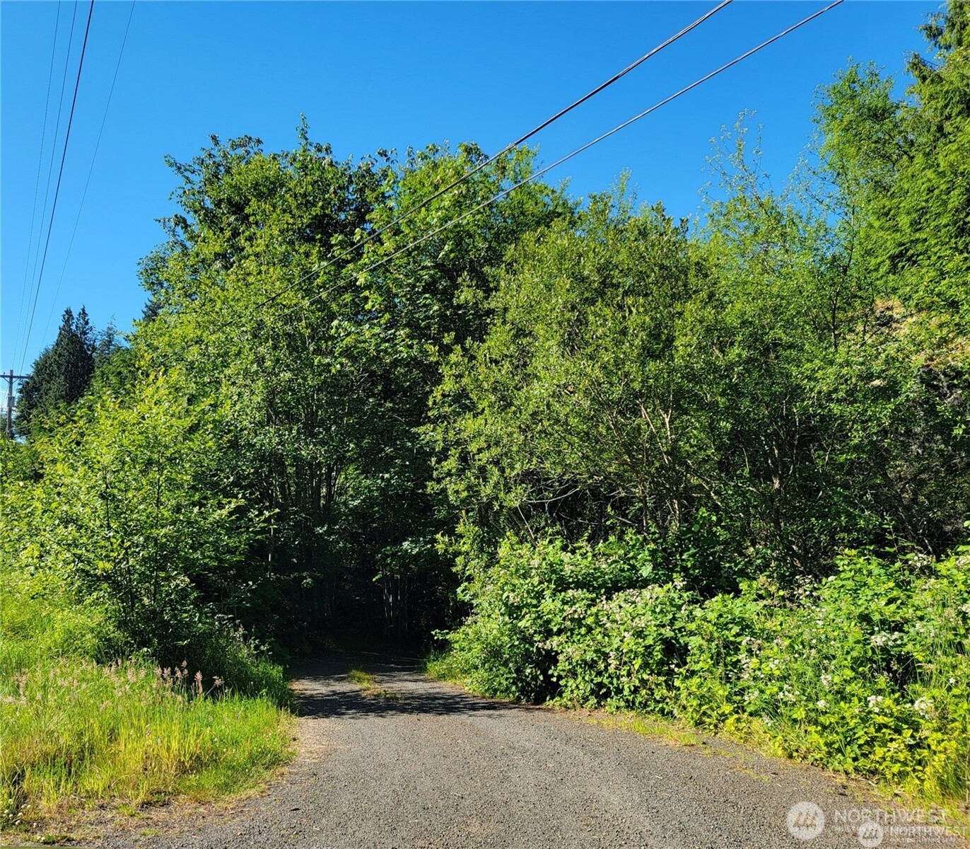 381 E State Route 4 Property Photo