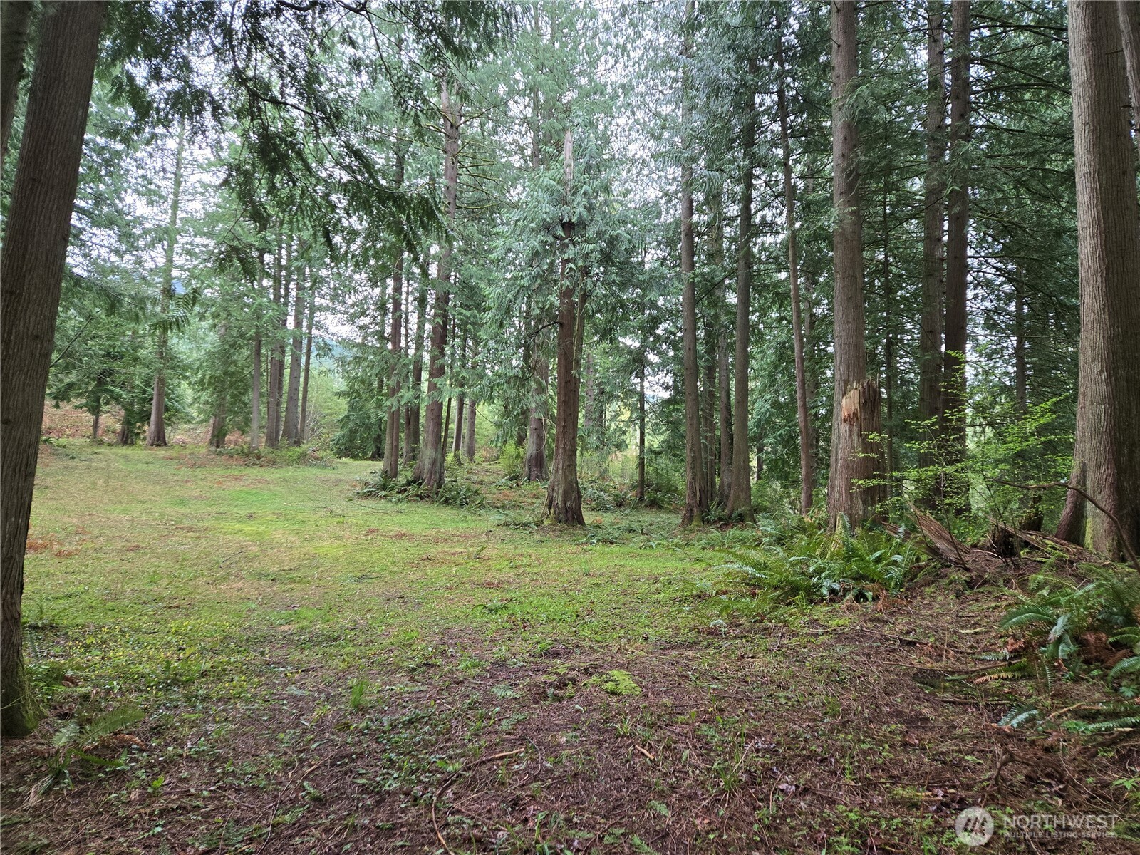 30703 Se 408th Street Property Photo 16
