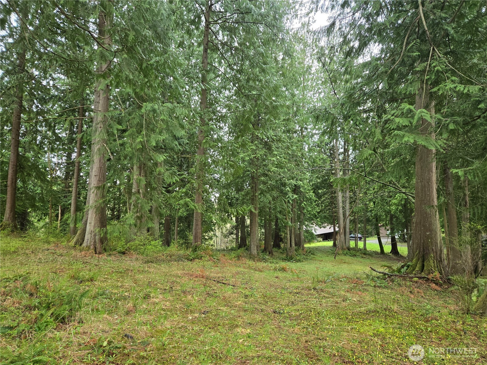 30703 Se 408th Street Property Photo 19