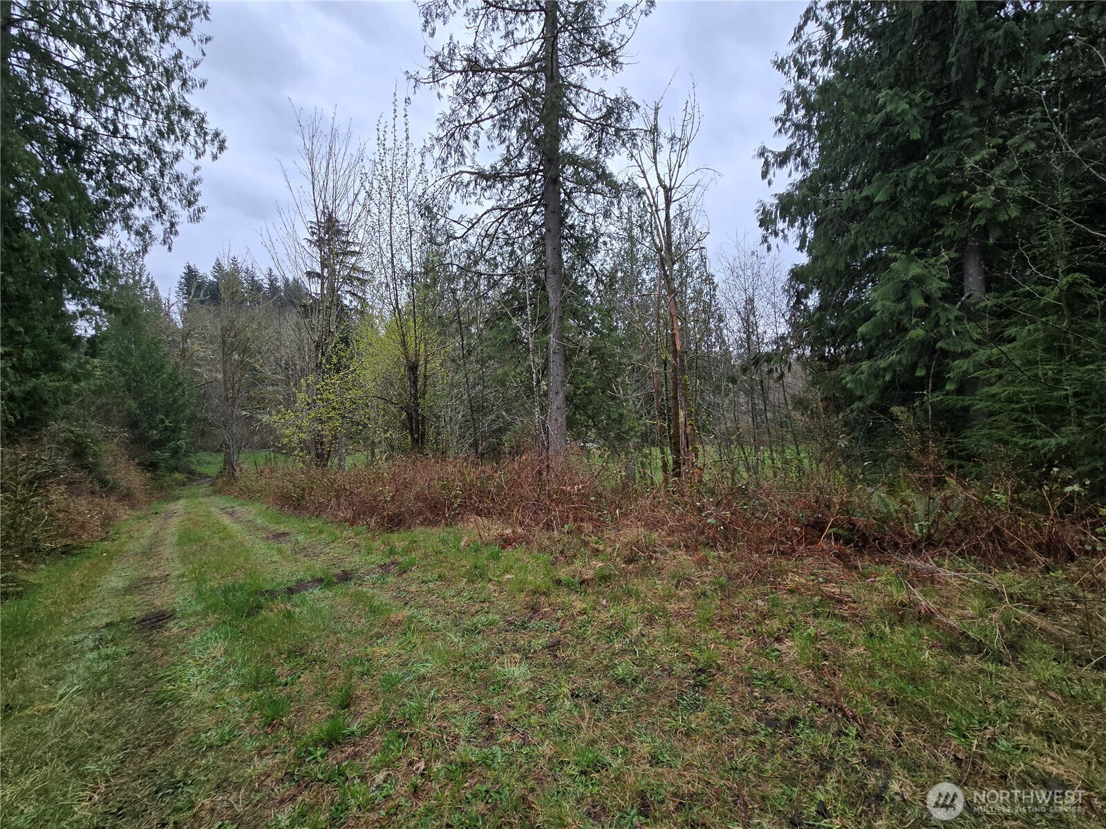 30703 Se 408th Street Property Photo 21