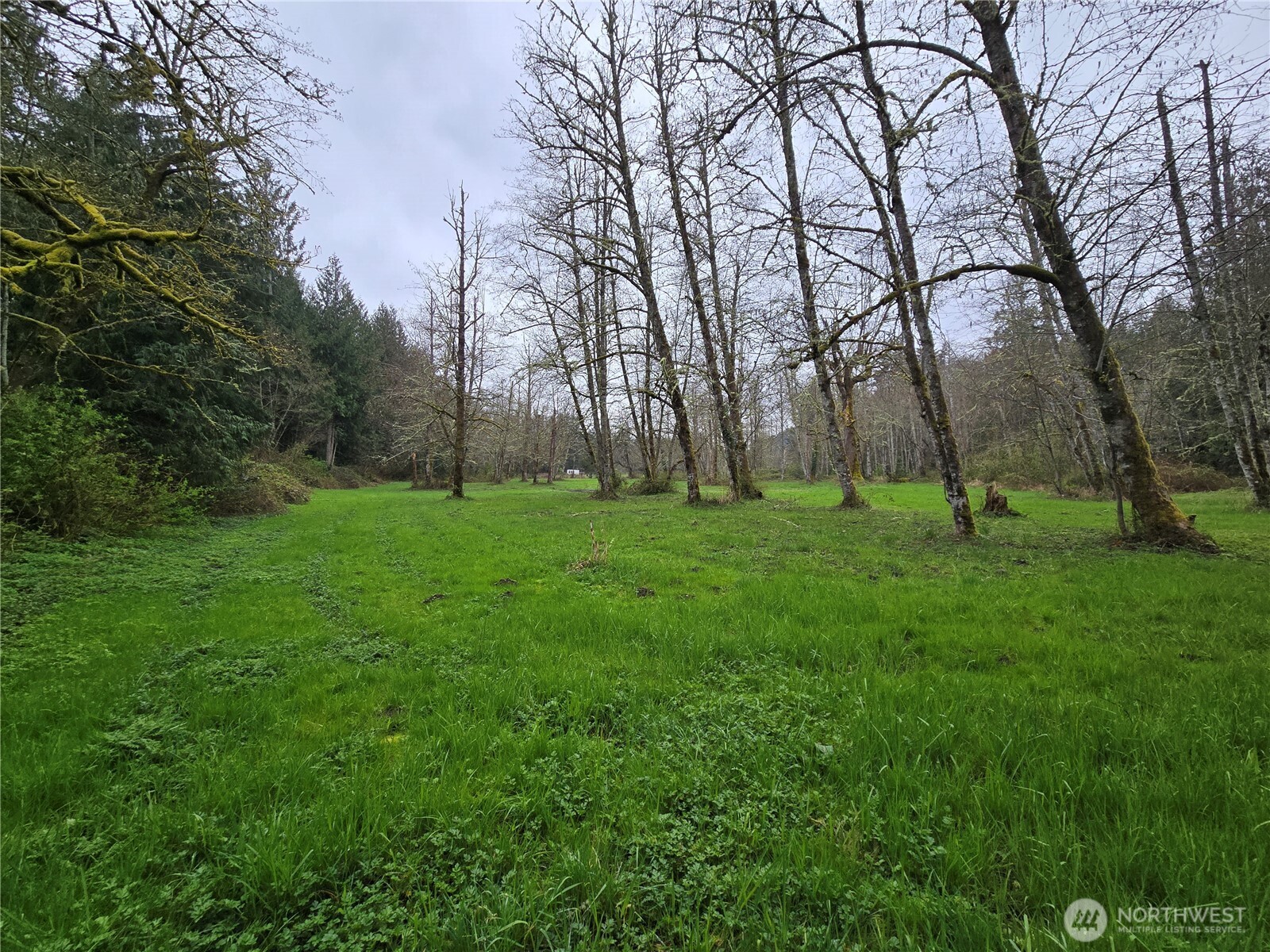 30703 Se 408th Street Property Photo 24