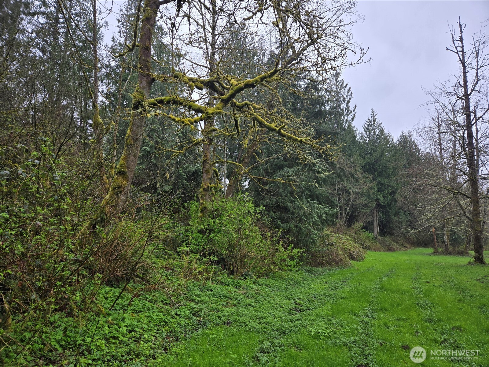 30703 Se 408th Street Property Photo 25