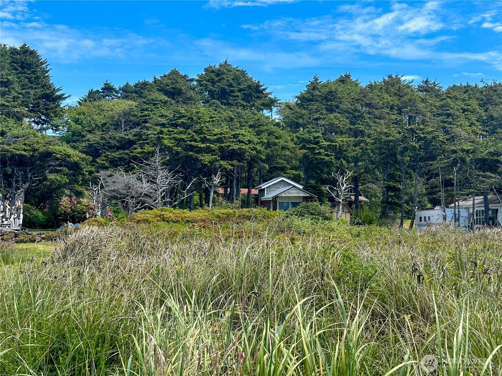 4753 Beach Lane Property Photo 17