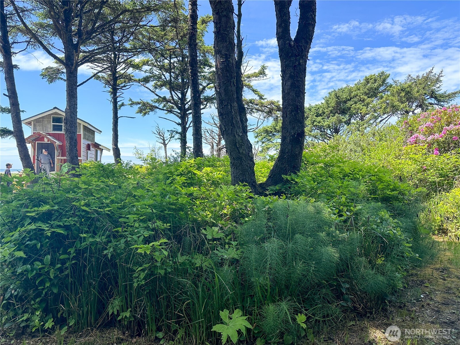4753 Beach Lane Property Photo 20