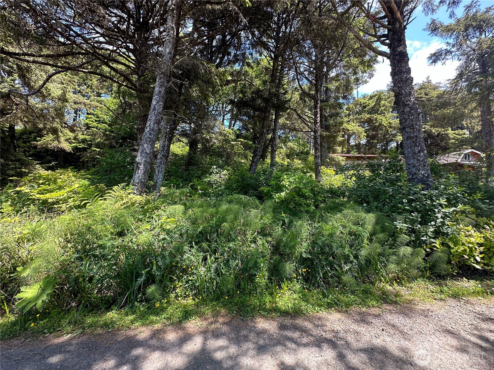 4753 Beach Lane Property Photo 25