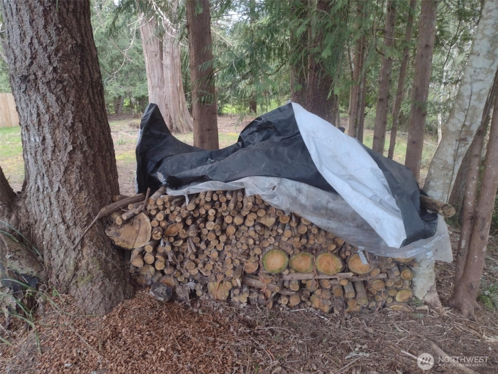 581 E Lakeshore Drive Property Photo 15