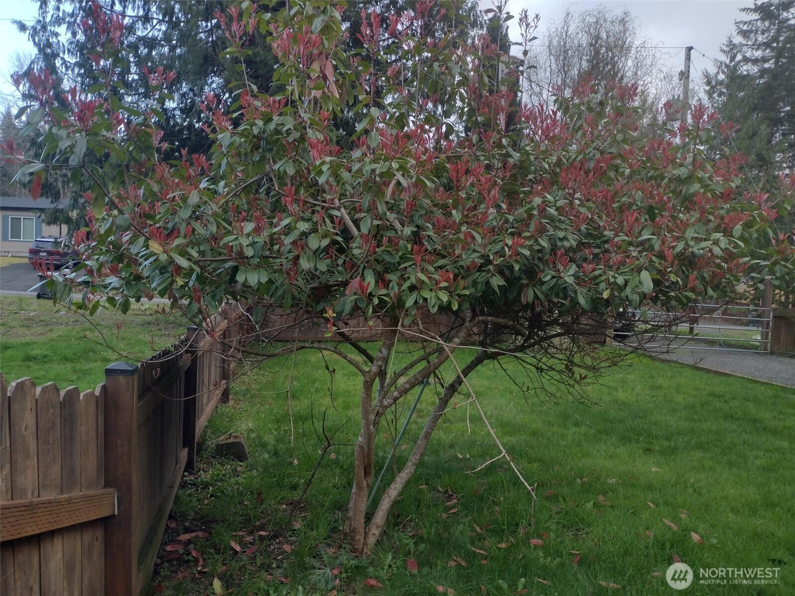 581 E Lakeshore Drive Property Photo 23