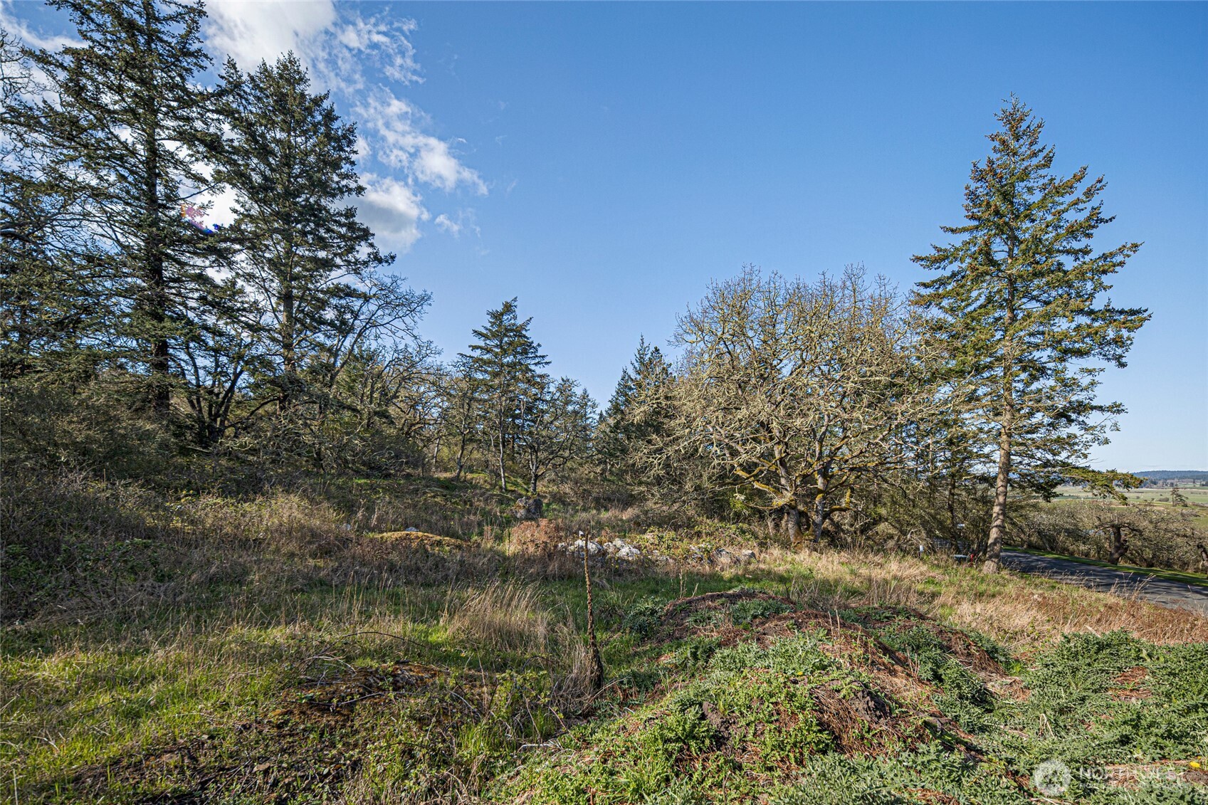 21 Ranchos Road Property Photo 38